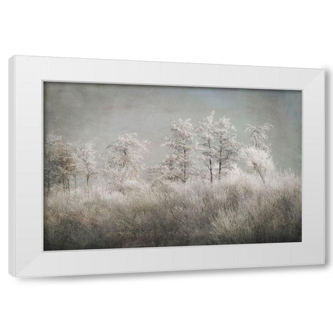 Cold Morning White Modern Wood Framed Art Print by Talen, Nel