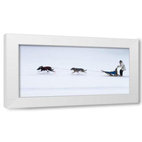 Sled Dogs Race - 1 White Modern Wood Framed Art Print by Chang, Cheng