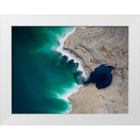 Big Fish White Modern Wood Framed Art Print by Eliash, Tomer