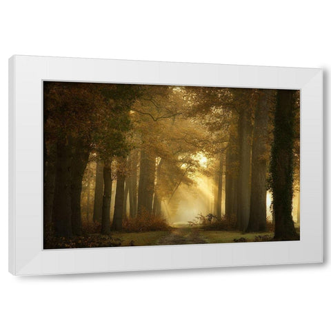 Forever Forest White Modern Wood Framed Art Print by Borggreve, Ellen