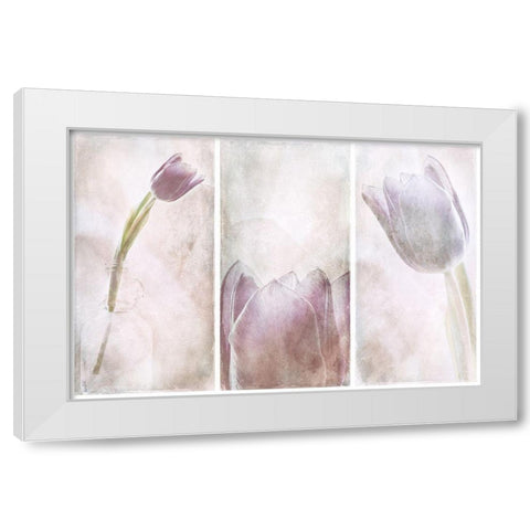 Untitled White Modern Wood Framed Art Print by Davidsson, Gustav