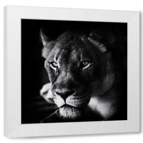 The Look White Modern Wood Framed Art Print by Berry, Jerry