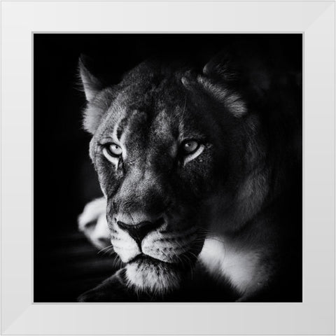 The Look White Modern Wood Framed Art Print by Berry, Jerry