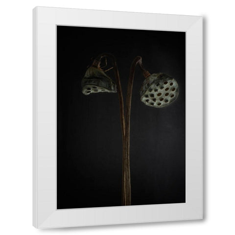 Lotus Heads - Dried White Modern Wood Framed Art Print by Gronkjar, Lotte
