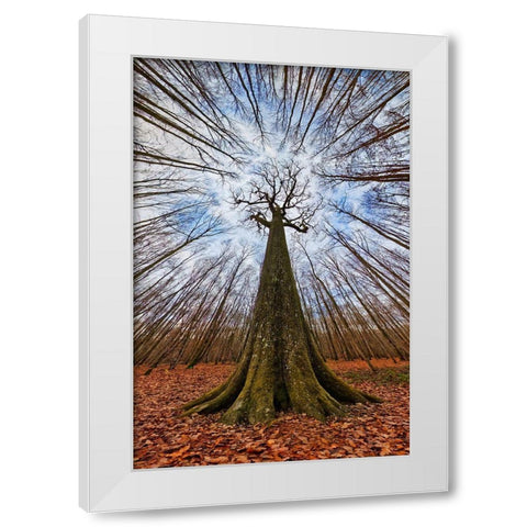 Four Centuries Tall White Modern Wood Framed Art Print by Casanova, Francois