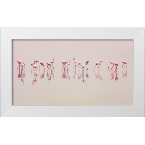 Water Ballet White Modern Wood Framed Art Print by Thabet, Ahmed