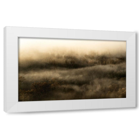 Untitled White Modern Wood Framed Art Print by Lucidi, Riccardo