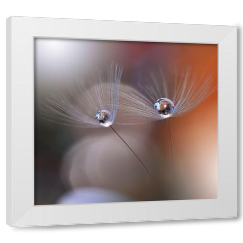 Immortal Love.. White Modern Wood Framed Art Print by Nan, Juliana