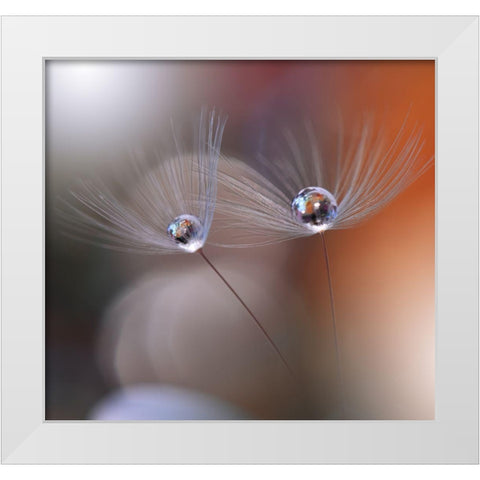 Immortal Love.. White Modern Wood Framed Art Print by Nan, Juliana