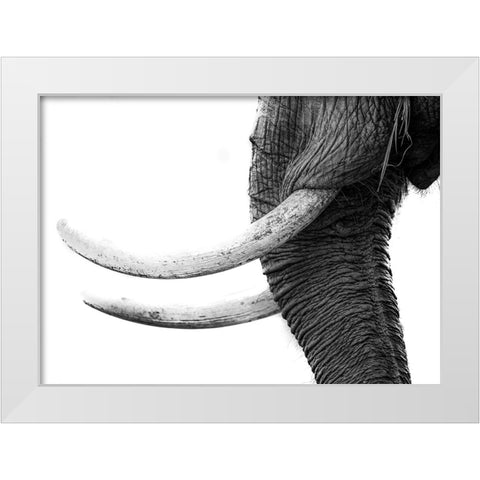White Gold White Modern Wood Framed Art Print by Marx, Jaco