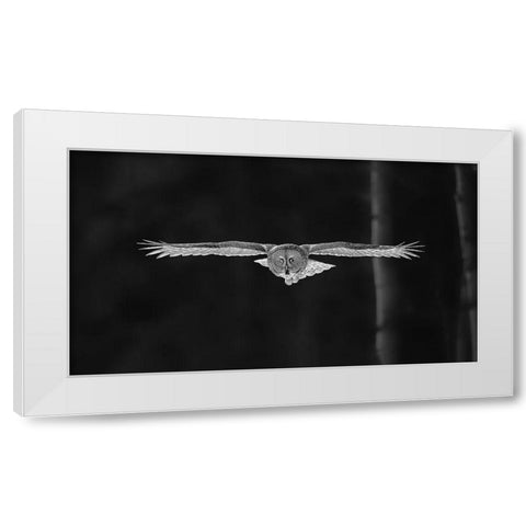 Out Of The Woods White Modern Wood Framed Art Print by Zuo, Jun