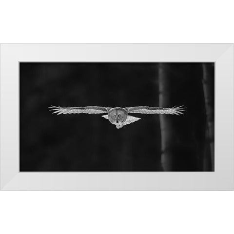 Out Of The Woods White Modern Wood Framed Art Print by Zuo, Jun