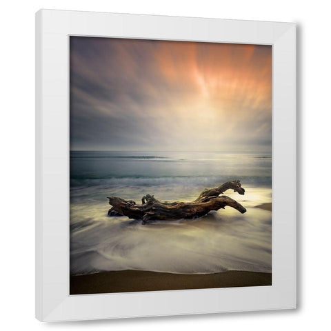 Morning Light White Modern Wood Framed Art Print by Markova, Albena