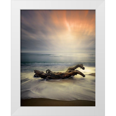 Morning Light White Modern Wood Framed Art Print by Markova, Albena