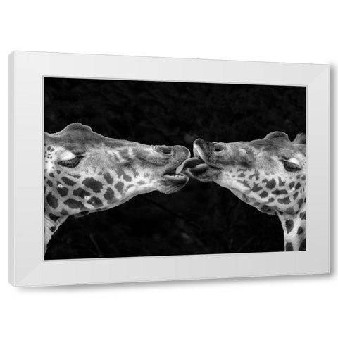 French Kiss White Modern Wood Framed Art Print by Romaggi, Michel