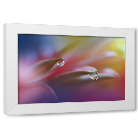 Sound Of Colors... White Modern Wood Framed Art Print by Nan, Juliana