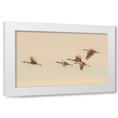 Untitled White Modern Wood Framed Art Print by Wang, Qingsong