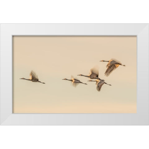 Untitled White Modern Wood Framed Art Print by Wang, Qingsong