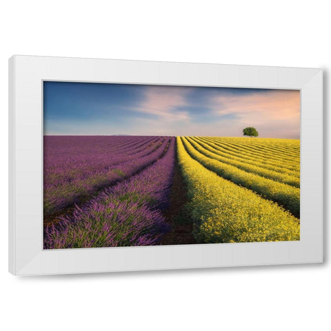 Violyellow White Modern Wood Framed Art Print by Komovec, Ales