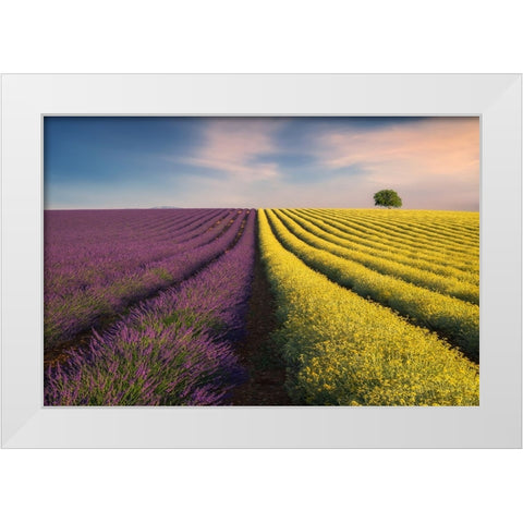 Violyellow White Modern Wood Framed Art Print by Komovec, Ales