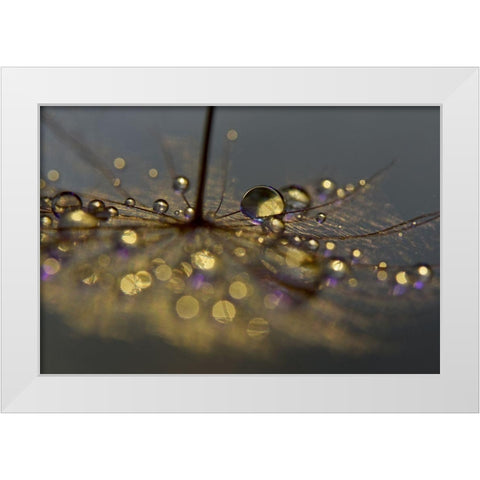 Golden Purple White Modern Wood Framed Art Print by Westum, Heidi