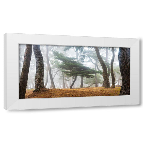 In The Misty Pine Forest White Modern Wood Framed Art Print by Ryu, Jaeyoun