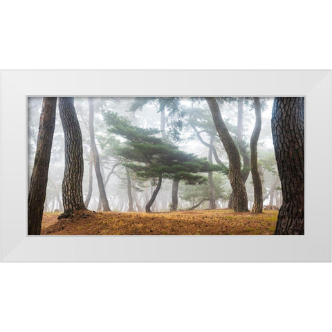 In The Misty Pine Forest White Modern Wood Framed Art Print by Ryu, Jaeyoun