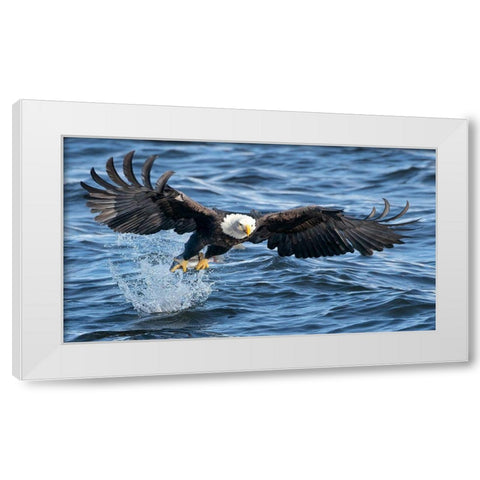 King Of Mississippi White Modern Wood Framed Art Print by Fan, John