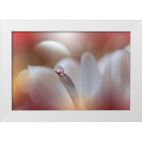 Enigma.. White Modern Wood Framed Art Print by Nan, Juliana