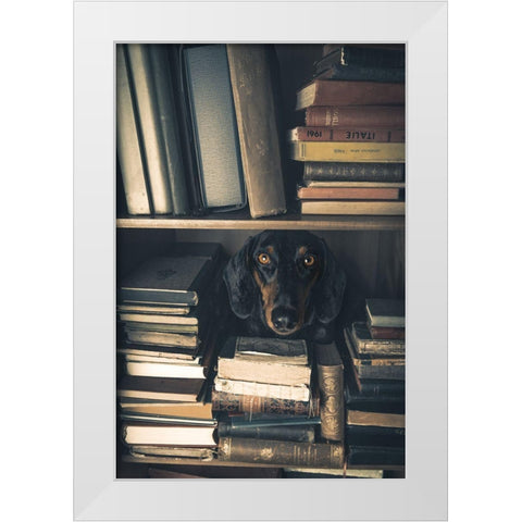 Der Kleine Bibliothekar - Little Librarian White Modern Wood Framed Art Print by Willers, Heike