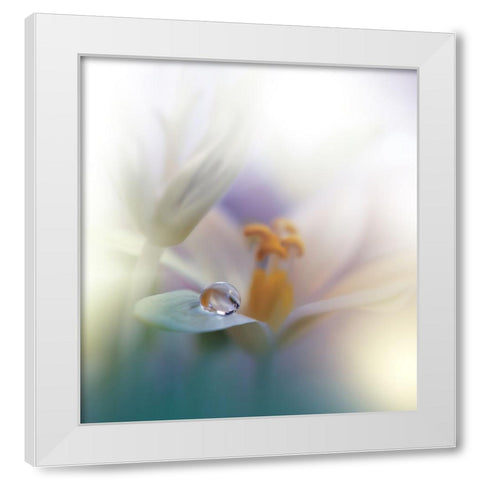 All Of Me... White Modern Wood Framed Art Print by Nan, Juliana