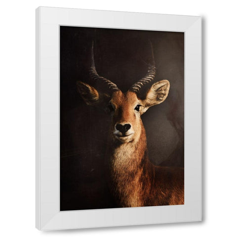 Untitled White Modern Wood Framed Art Print by Grambone, Antonio