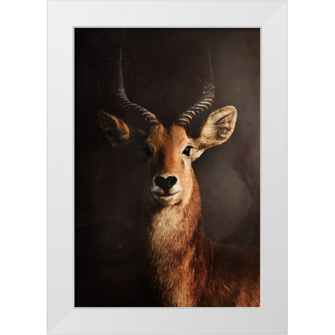 Untitled White Modern Wood Framed Art Print by Grambone, Antonio