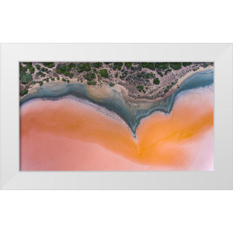 Colostrai White Modern Wood Framed Art Print by Moglia, Fabrizio