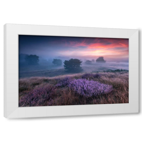 Qthe Colors Of Heatherq White Modern Wood Framed Art Print by Pachula, Adam