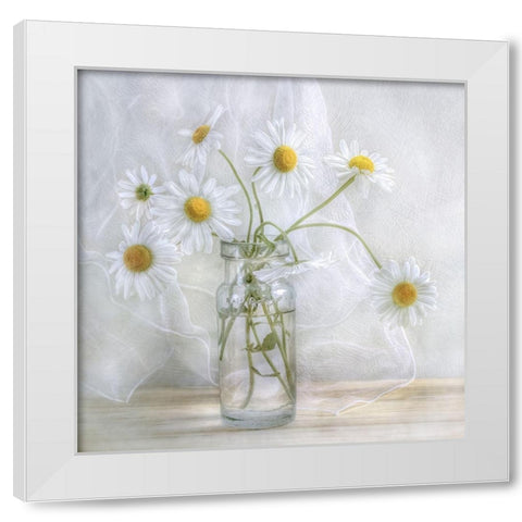 Daisies White Modern Wood Framed Art Print by Disher, Mandy