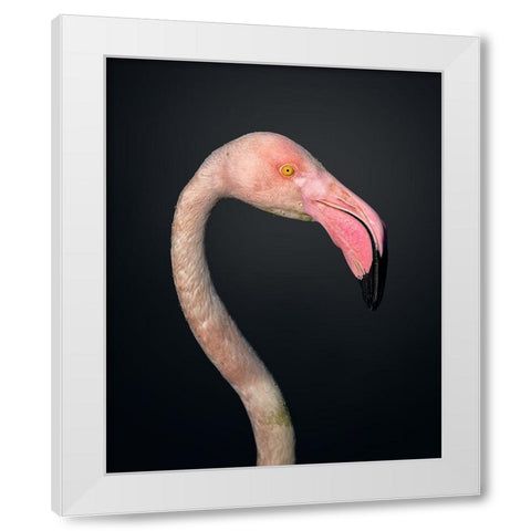 F L A M B O Y A N C E White Modern Wood Framed Art Print by Fegari