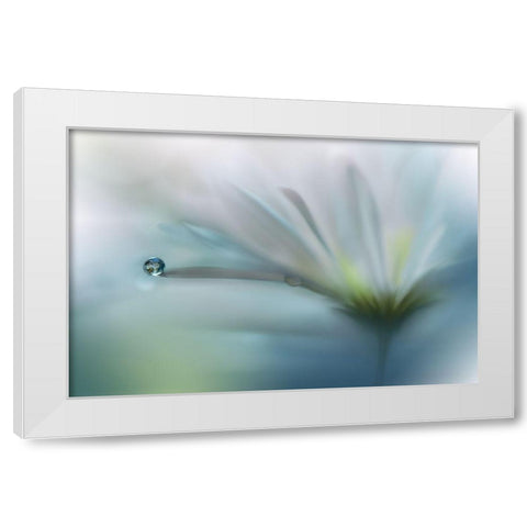 Fields Of Hope.. White Modern Wood Framed Art Print by Nan, Juliana
