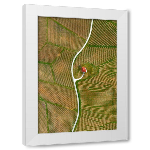 Vinyards White Modern Wood Framed Art Print by Kravanja, Jure