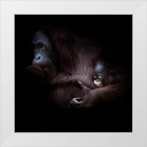 ... Sleep White Modern Wood Framed Art Print by Vollrath, Jorg