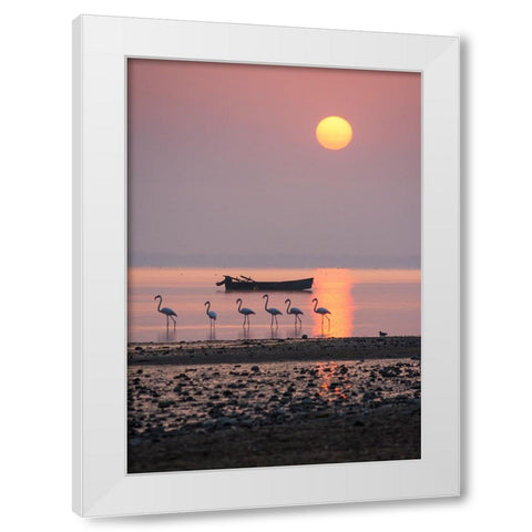 Morning Sunbath White Modern Wood Framed Art Print by Nikoloulis, Ilias