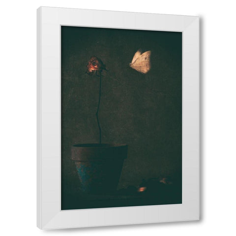 Mon Amie La Rose... White Modern Wood Framed Art Print by Devos, Delphine