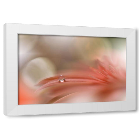 Light Touch.. White Modern Wood Framed Art Print by Nan, Juliana