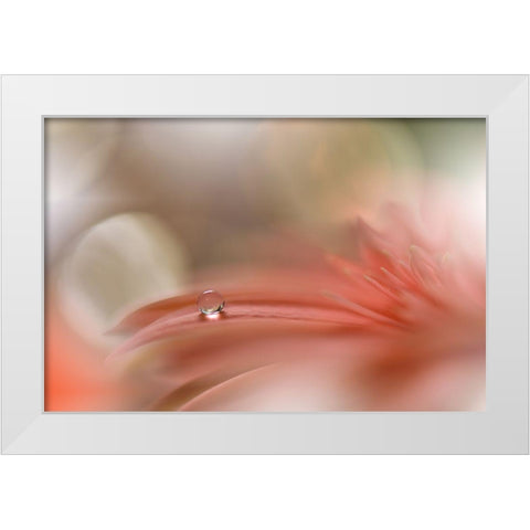 Light Touch.. White Modern Wood Framed Art Print by Nan, Juliana