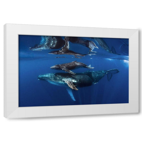 Reflections White Modern Wood Framed Art Print by Peneau, Cedric