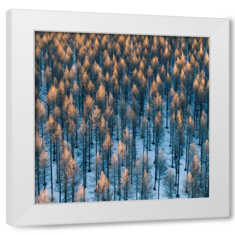 Fire White Modern Wood Framed Art Print by Z, Bingo