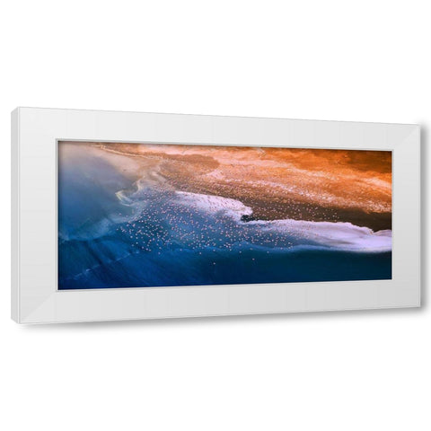 Happy Flight White Modern Wood Framed Art Print by Chang, Phillip