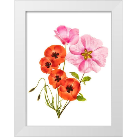 Flower Composition Iii White Modern Wood Framed Art Print by Yakubovitch, Azriel