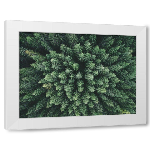 Moody Forest From Above White Modern Wood Framed Art Print by Lindsten, Christian
