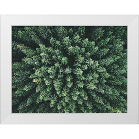 Moody Forest From Above White Modern Wood Framed Art Print by Lindsten, Christian